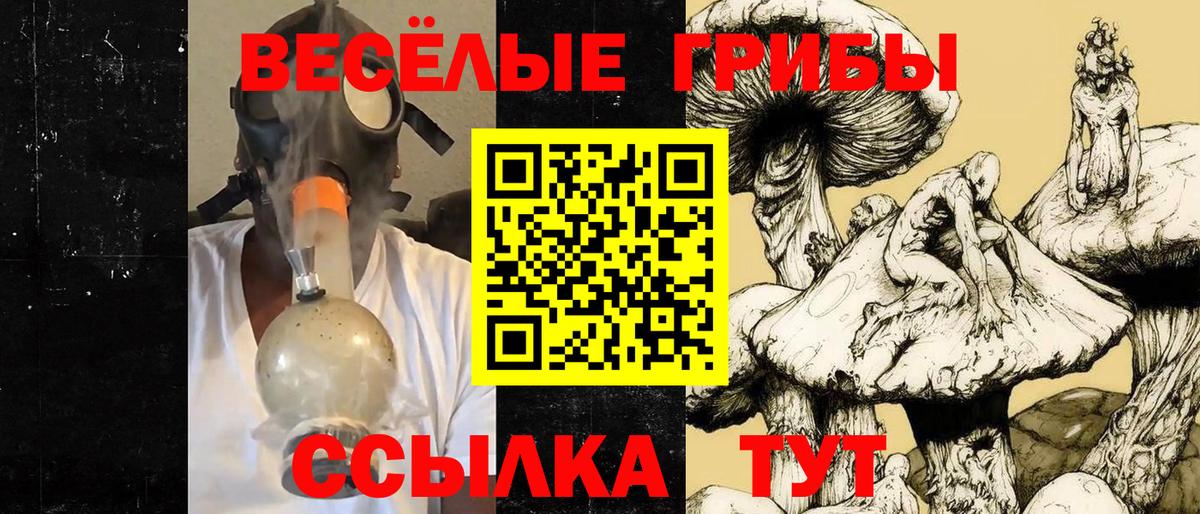 Галлюциногенные грибы MAGIC MUSHROOMS  наркота  Георгиевск  Вход с VPN 