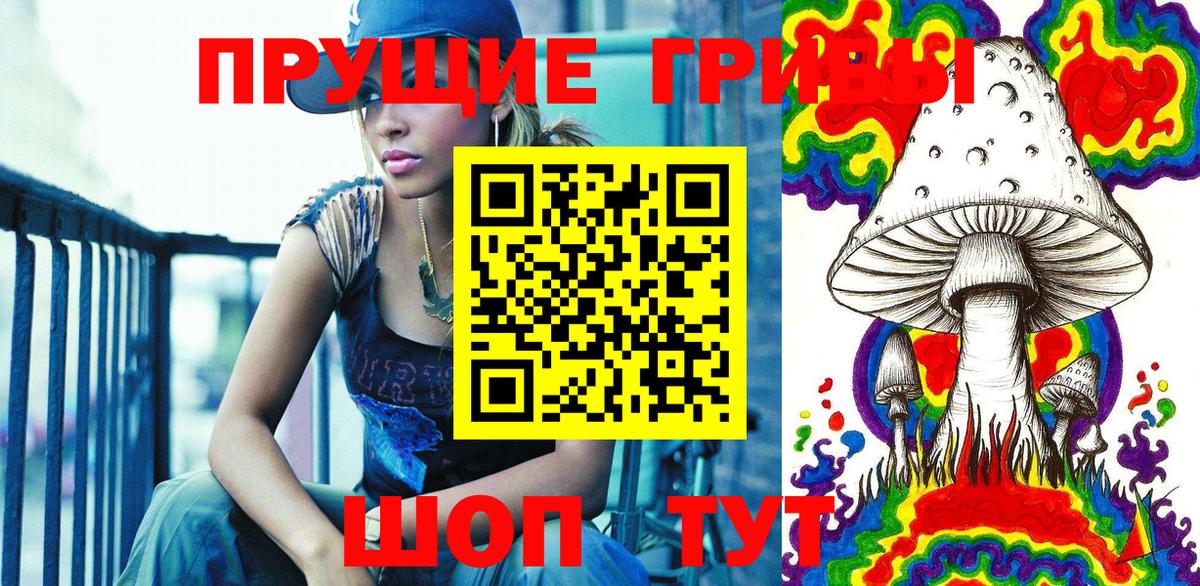 Галлюциногенные грибы прущие грибы Георгиевск